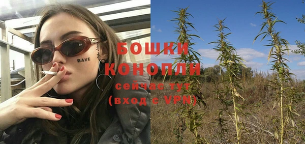 ешки Струнино