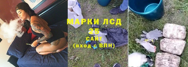 сатива Ступино