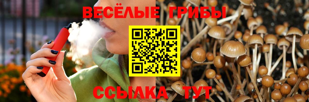 Псилоцибиновые грибы MAGIC MUSHROOMS Чебаркуль
